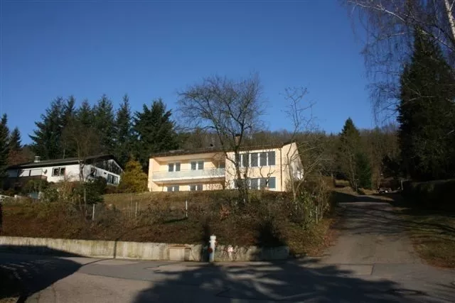 Immobilienangebot - Donaustauf - Alle - exklusives Einfamilienhaus in ruhiger Lage