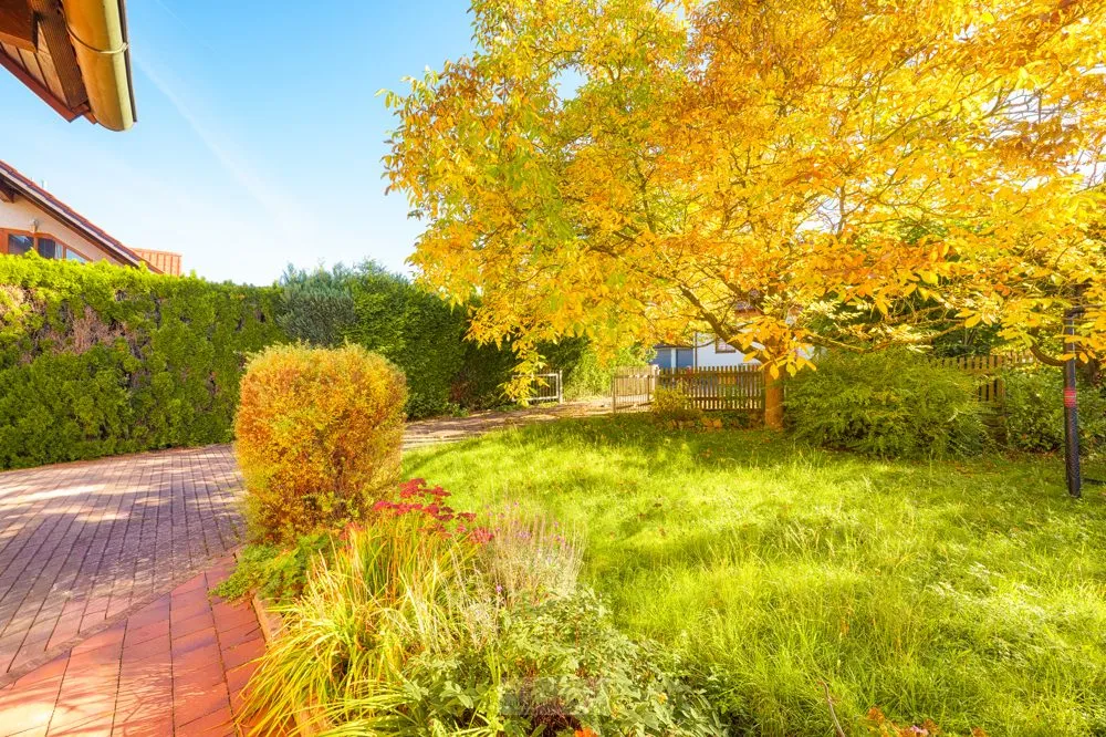 Immobilienangebot - Wenzenbach / Grünthal - Alle - Familienidylle im Grünen – Gepflegtes Einfamilienhaus mit großem Grundstück in ruhiger Lage