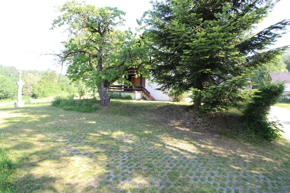 Immobilienangebot - Schwarzach - Alle - Idyllisch gelegenes Einfamilienhaus mit Potential!