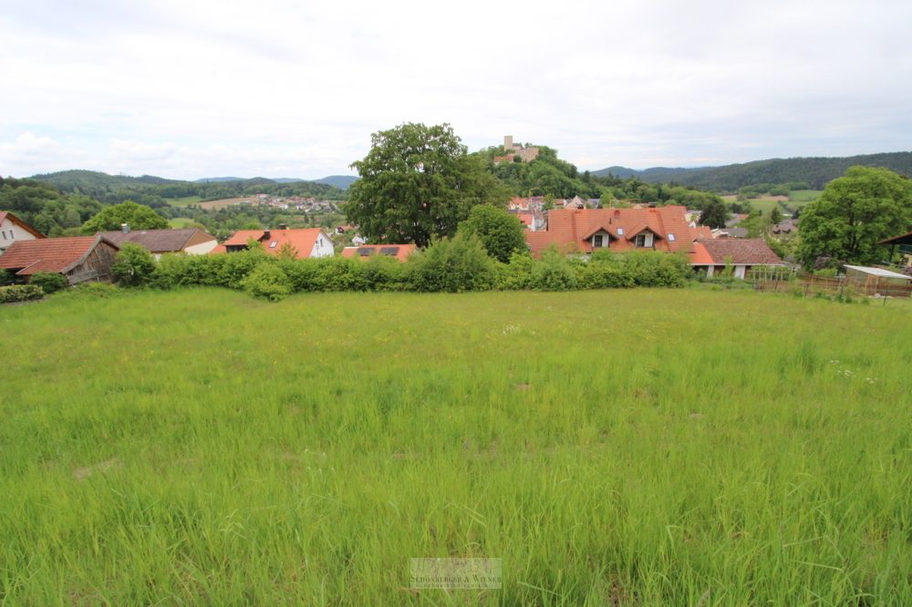 Immobilienangebot - Falkenstein - Alle - Attraktives Baugrundstück mit Bebauungsplan „Arracher Höhe“ – kein Bauzwang. Burgblick!!!