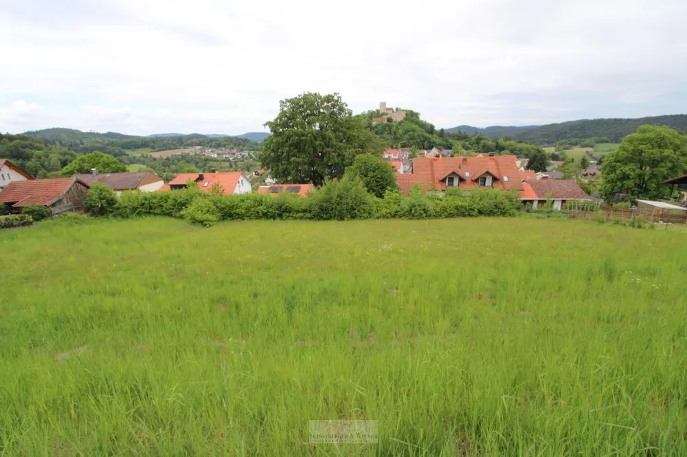 Immobilienangebot - Falkenstein - Alle - Attraktives Baugrundstück mit Bebauungsplan „Arracher Höhe“ – kein Bauzwang. Burgblick!!!