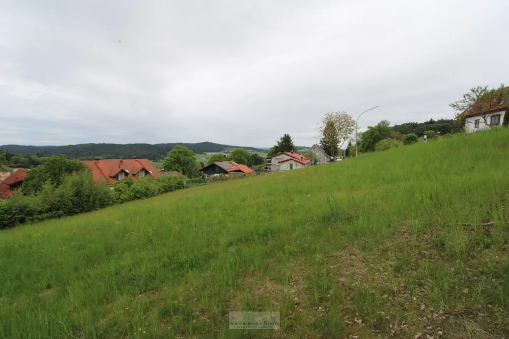Immobilienangebot - Falkenstein - Alle - Attraktives Baugrundstück mit Bebauungsplan „Arracher Höhe“ – kein Bauzwang. Burgblick!!!