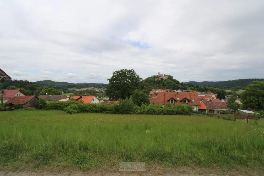 Immobilienangebot - Falkenstein - Alle - Attraktives Baugrundstück mit Bebauungsplan „Arracher Höhe“ – kein Bauzwang. Burgblick!!!
